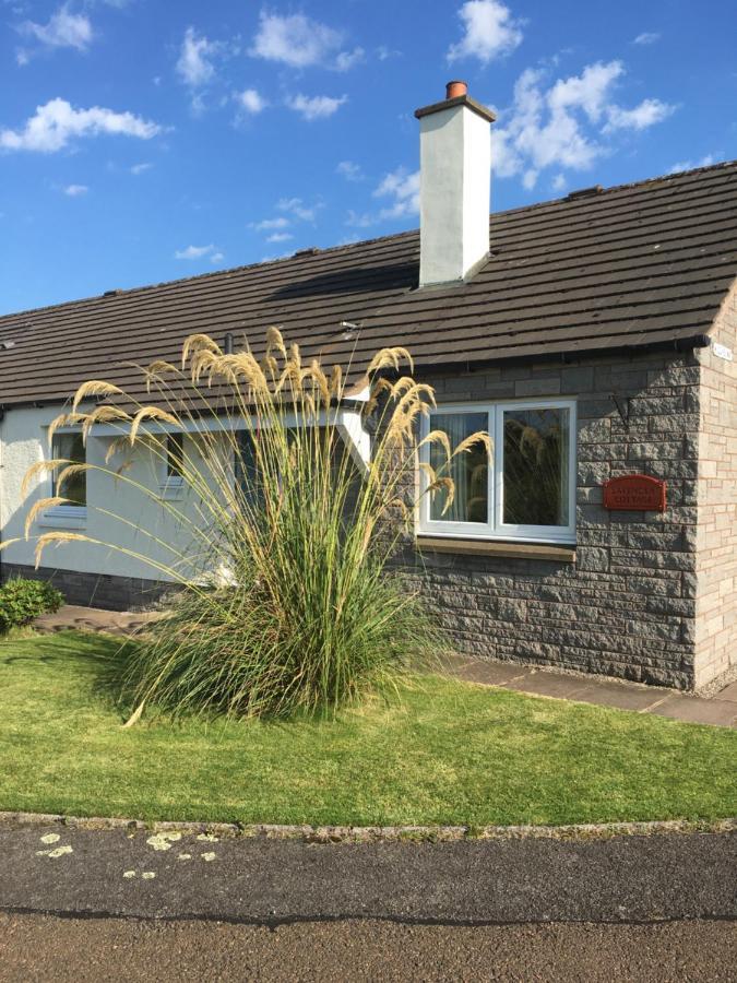 Lavender Cottage With Parking And Beautiful Views Spring Special Carsphairn Exterior foto